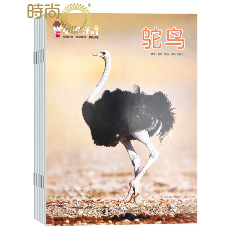 小聪仔科普版杂志2023年全年杂志订阅10月起订 少儿益智科普期刊 开发智力增长知识儿童期刊