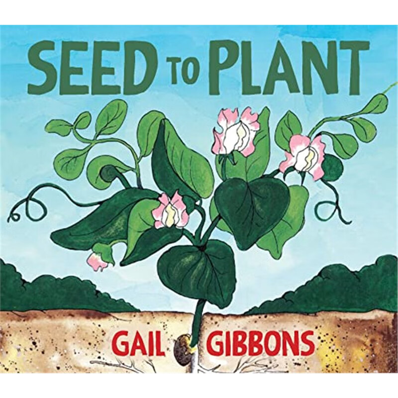 Seed To Plant