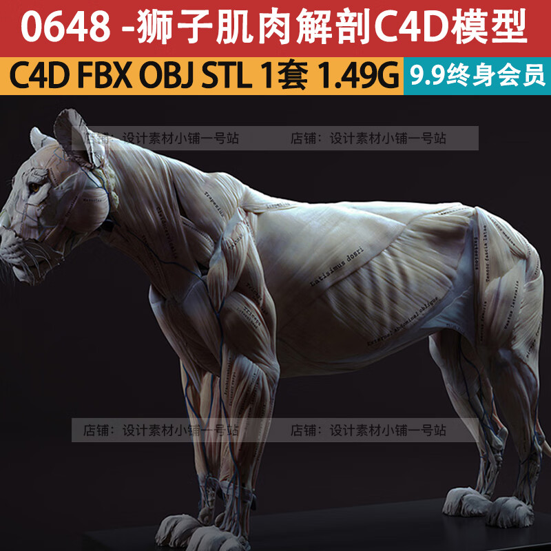 max c4d模型obj fbx野生动物