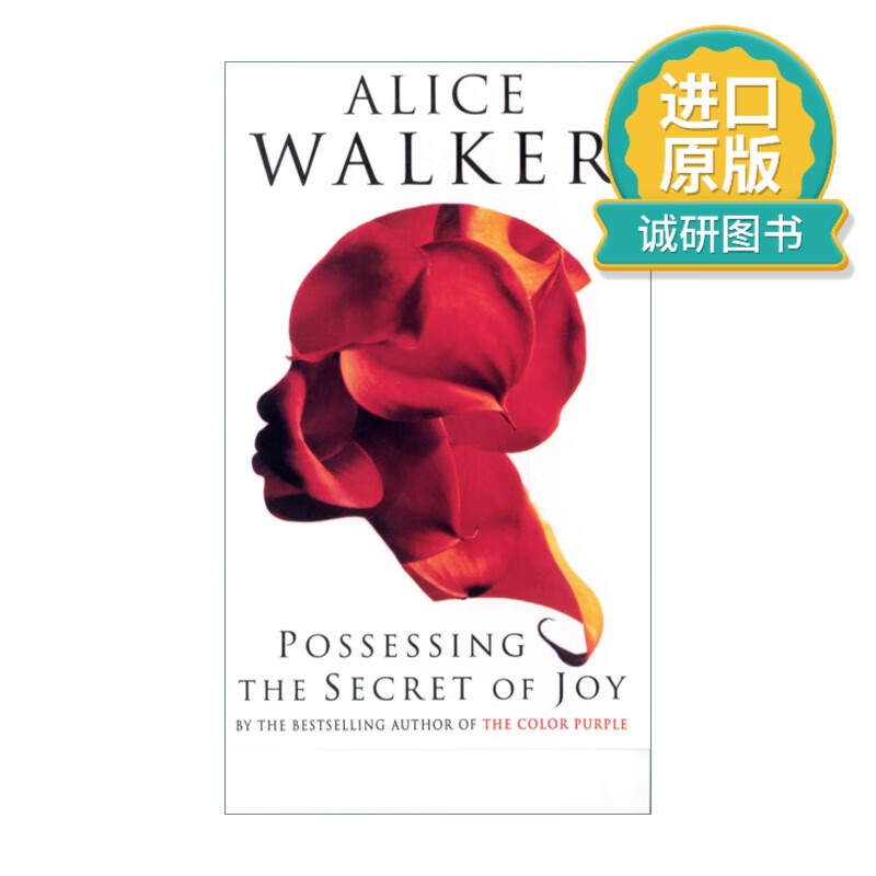 英文原版小说 possessing the secret of joy 拥有快乐的秘密 丽丝