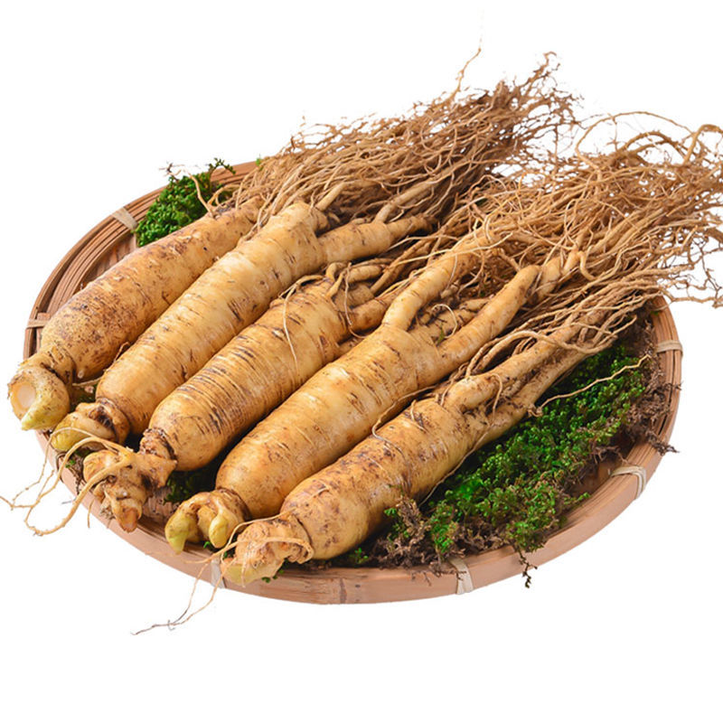 现挖人参长白山正宗东北人参鲜人参东北批发人参正宗鲜参煲汤沁溪 鲜