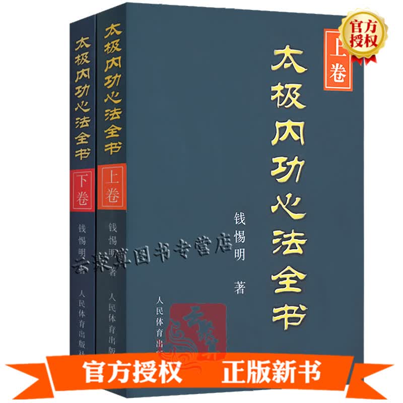 太极内功心法全书 上下卷 太极内功解秘 陈氏式太极拳形意八卦拳意武术套路老架一路 健身养生气功形意拳