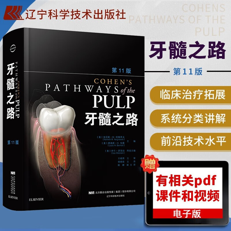 牙髓之路 第11版 根管治疗学 牙体牙髓病 根管治疗图谱 牙科牙髓病治疗根管治疗图谱 口腔种植技术 口腔医学类专业书籍 牙髓修复牙体种植 口腔临床医师实用工具书