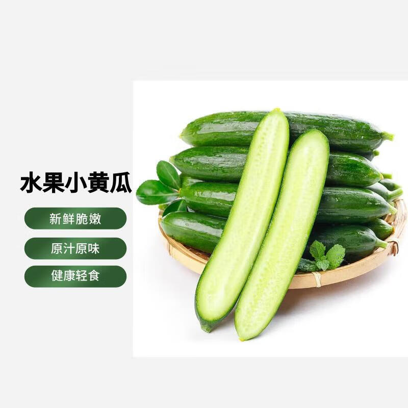 山东水果小黄瓜青瓜 新鲜蔬菜健康轻食 无刺水果黄瓜 4.5-5斤
