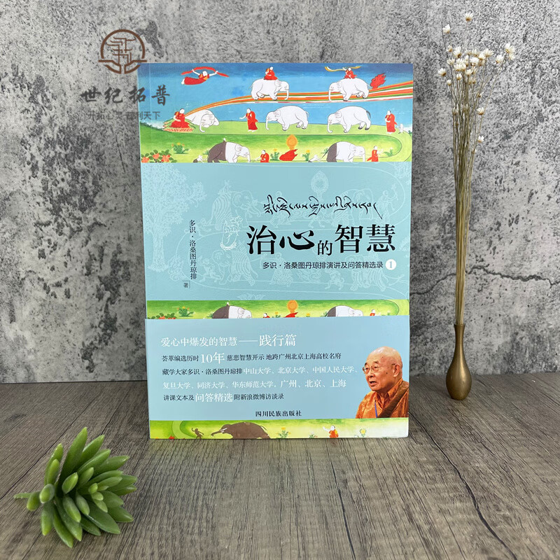 包邮正版 治心的智慧 多识洛桑图丹琼排演讲及问答精选集 爱心中爆发