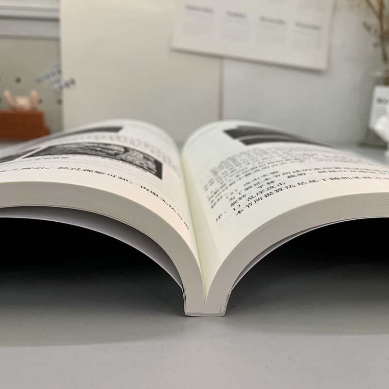 地理数据数字水印建模与原理详情图