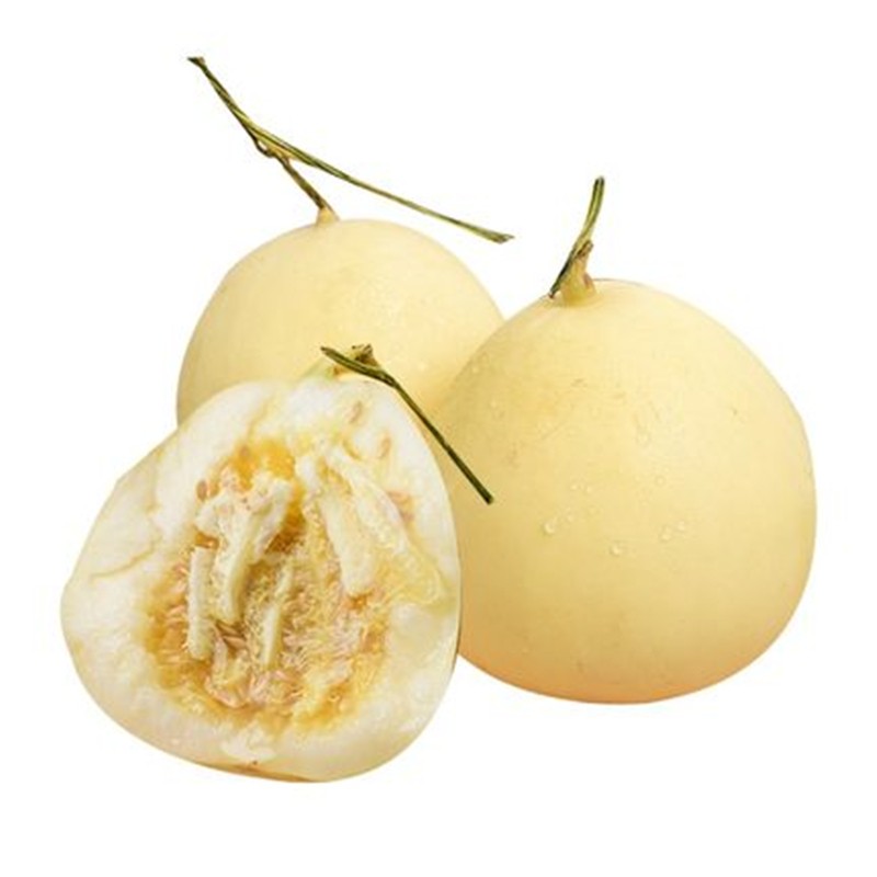 甜芋果月东北香瓜白糖罐香瓜新鲜当季小糖罐甜瓜水果 3斤