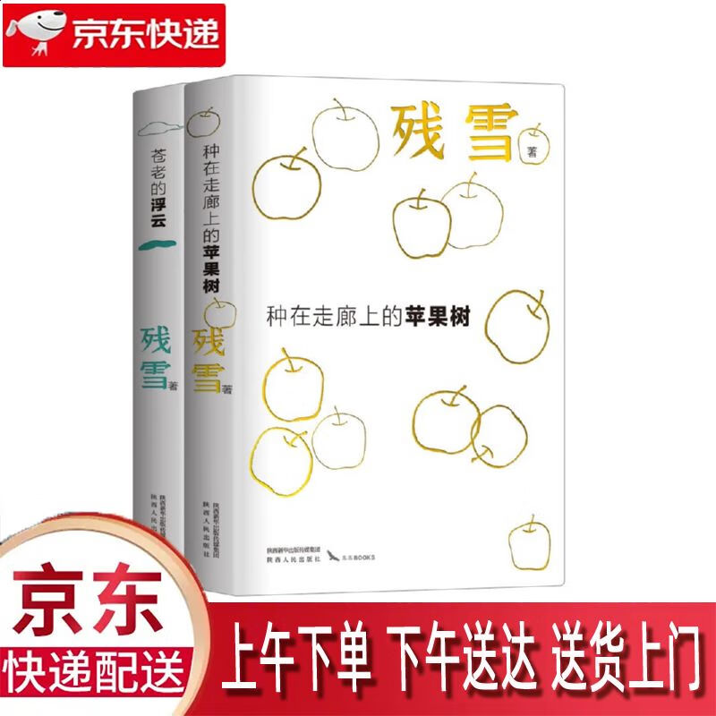 【全新正版】诺奖提名作家残雪文学代表作 陕西人民出版社