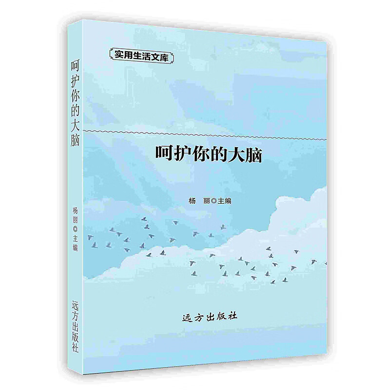 [按需印刷]呵护你的大脑