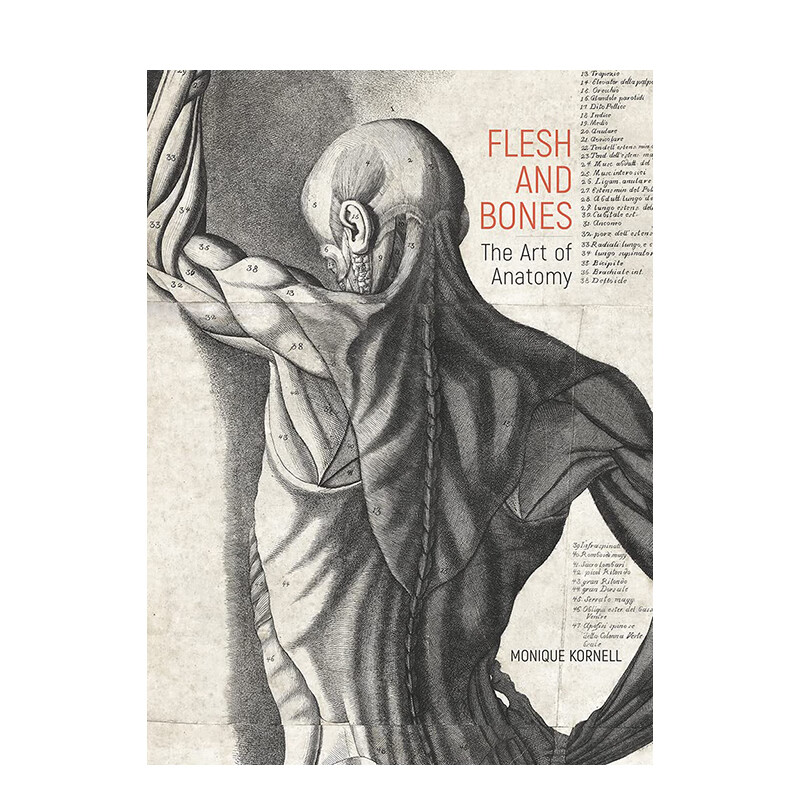 【现货】肉体与骨骼:解剖学的艺术 flesh and bones: the art of