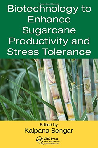 预订 Biotechnology to Enhance Sugarcane Productivity and Stress Tolerance