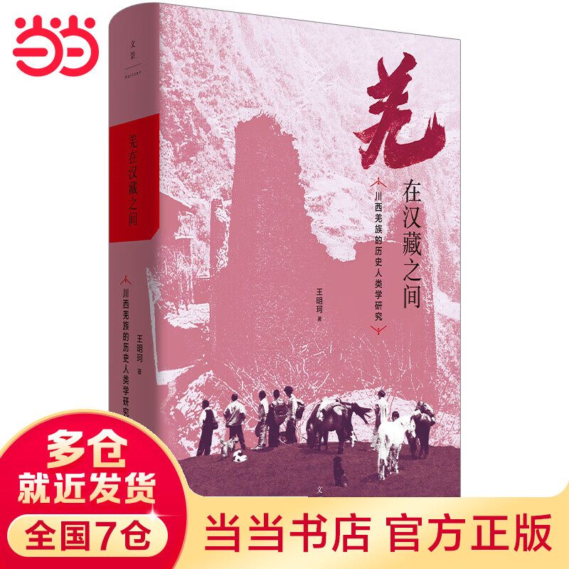 羌在汉藏之间:川西羌族的历史人类学研究(《华夏边缘》作者王明珂经典力作,川西羌族全解)高性价比高么?