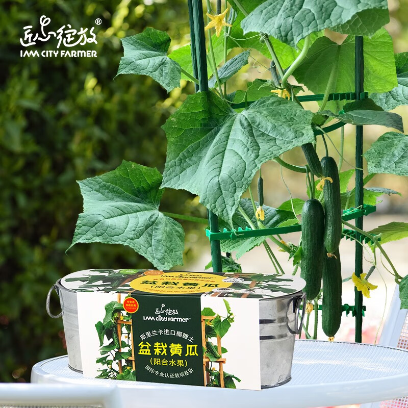 蔬菜类京东商品历史价格查询|蔬菜类价格比较