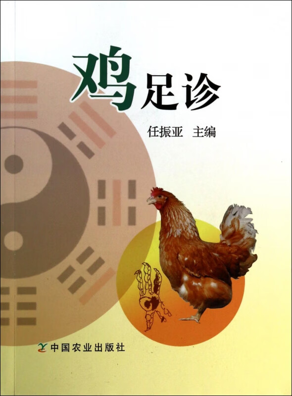 鸡足诊