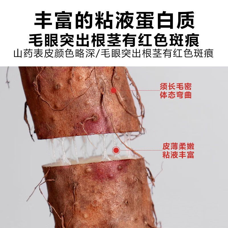 焦作温县铁棍山药垆土铁棍山药秋冬滋补送长辈年货礼伴手礼品 精选装净重5斤大果58厘米左右 土黄色