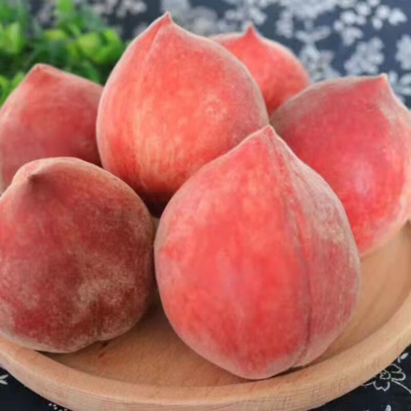 现摘水蜜桃新鲜水果应当季脆甜大桃子毛桃超甜油密桃 2斤精品