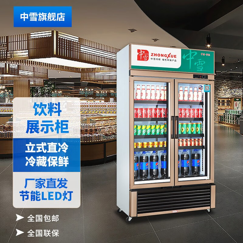 中雪商用展示柜超市直冷保鲜柜啤酒饮料柜冰柜冰箱立式水果蔬菜冷柜