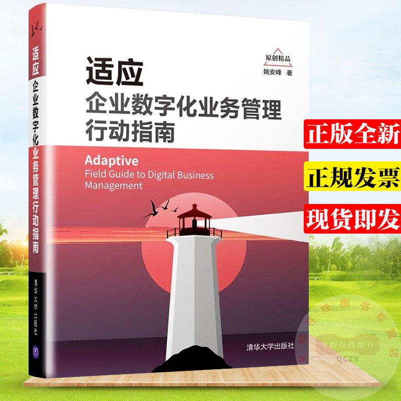 适应：企业数字化业务管理行动指南 姚安峰 著 清华大学出版社