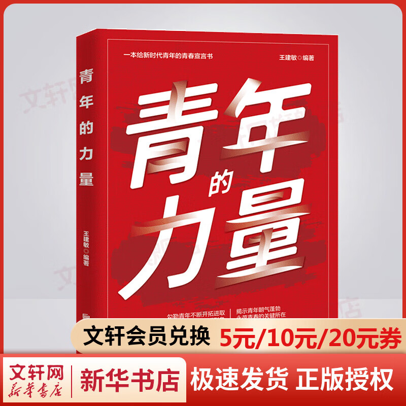 青年的力量 图书