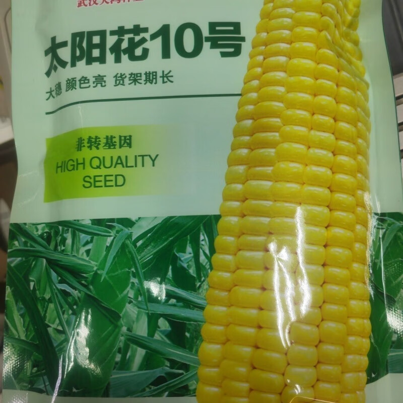 进口泰系高产大棒太阳花10号甜玉米种子水果玉米生吃型种子 太阳花10