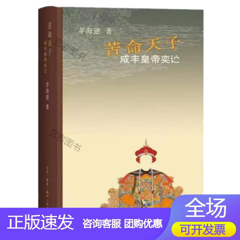 《苦命天子：咸丰皇帝》