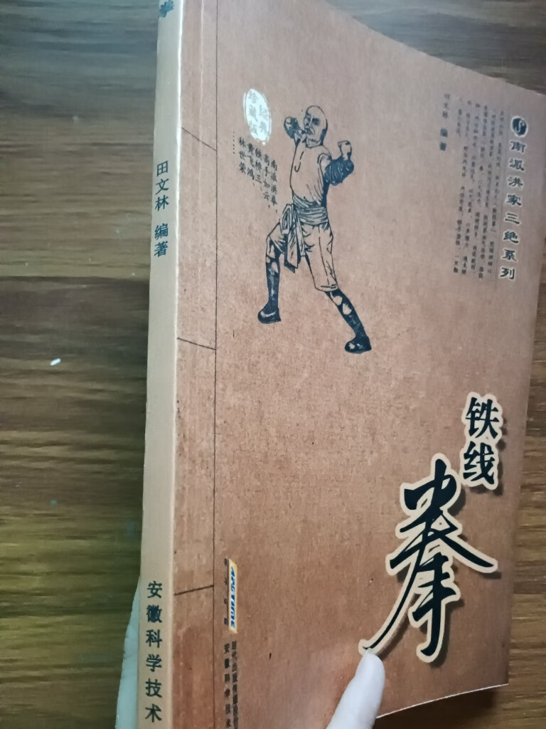 铁线拳(经典珍藏版) 南派洪家三绝系列 田文林 2011 中国武术