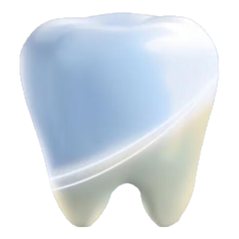 ʨѿǽ׸߷ 곤Ƽ ๲390g3֧24.9Ԫ