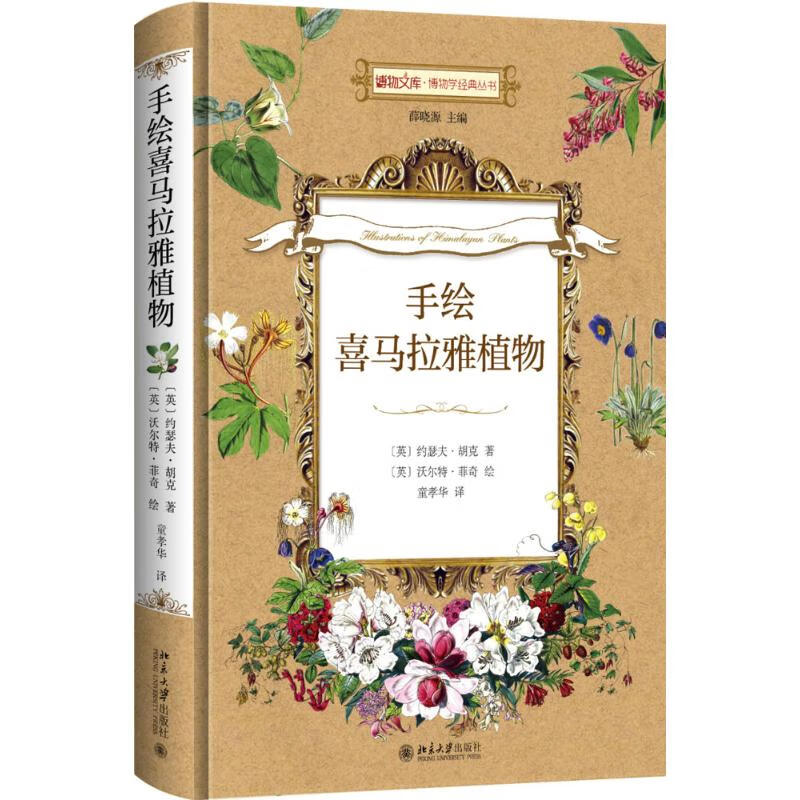 手绘喜马拉雅植物