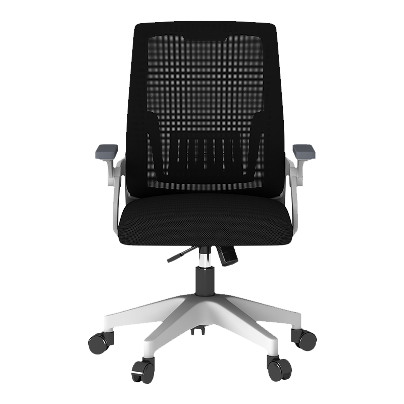人文成家 电脑椅家用办公靠背椅可躺座椅人体工学椅电竞椅学习椅子 【常规款-尼龙脚】白框灰网