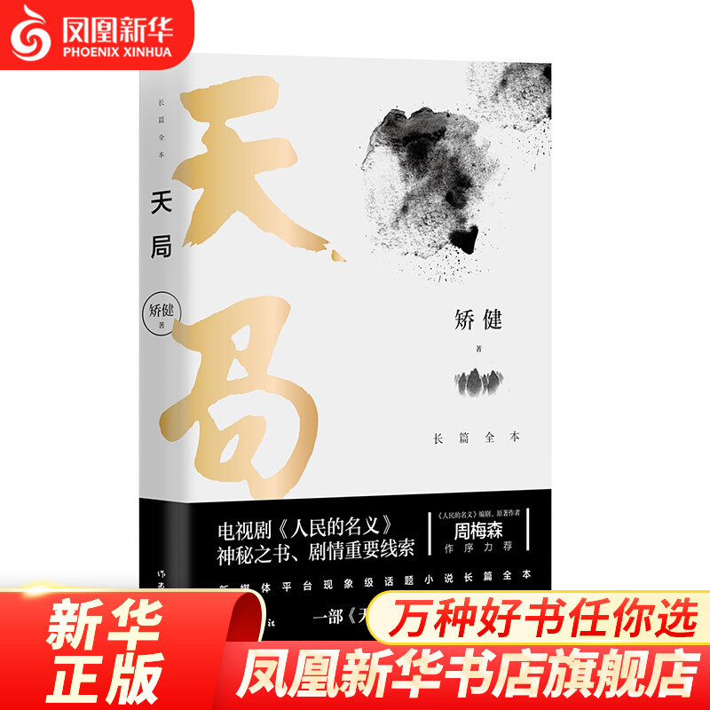 天局 长篇全本 矫健 经典小说天局的长篇小说版 电视剧人民的名义神秘之书剧情重要线索 中国现当代文学 凤凰新华书店旗舰店
