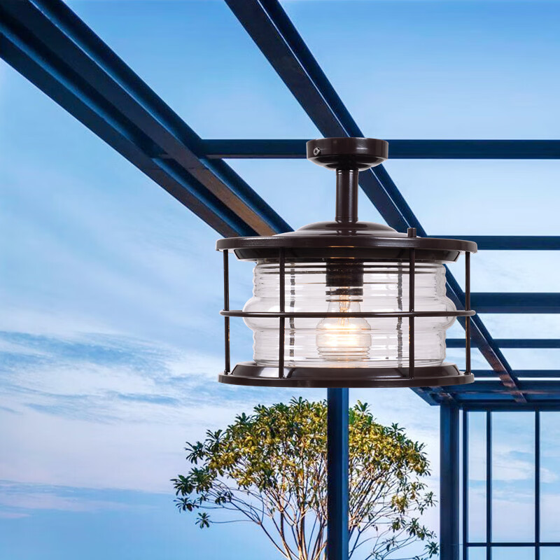 盈靓玻璃阳光房灯中式庭院亭子凉亭照明灯具户外花园雨棚超亮半吸顶灯