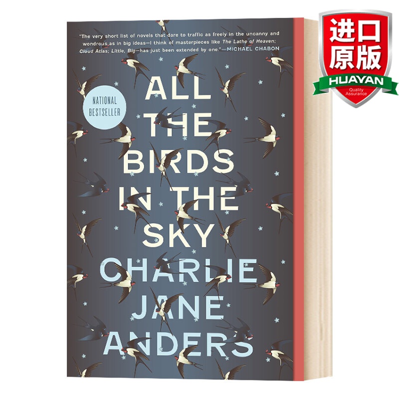 英文原版 天空中所有的鸟 all the birds in the sky 2017年雨果奖 全