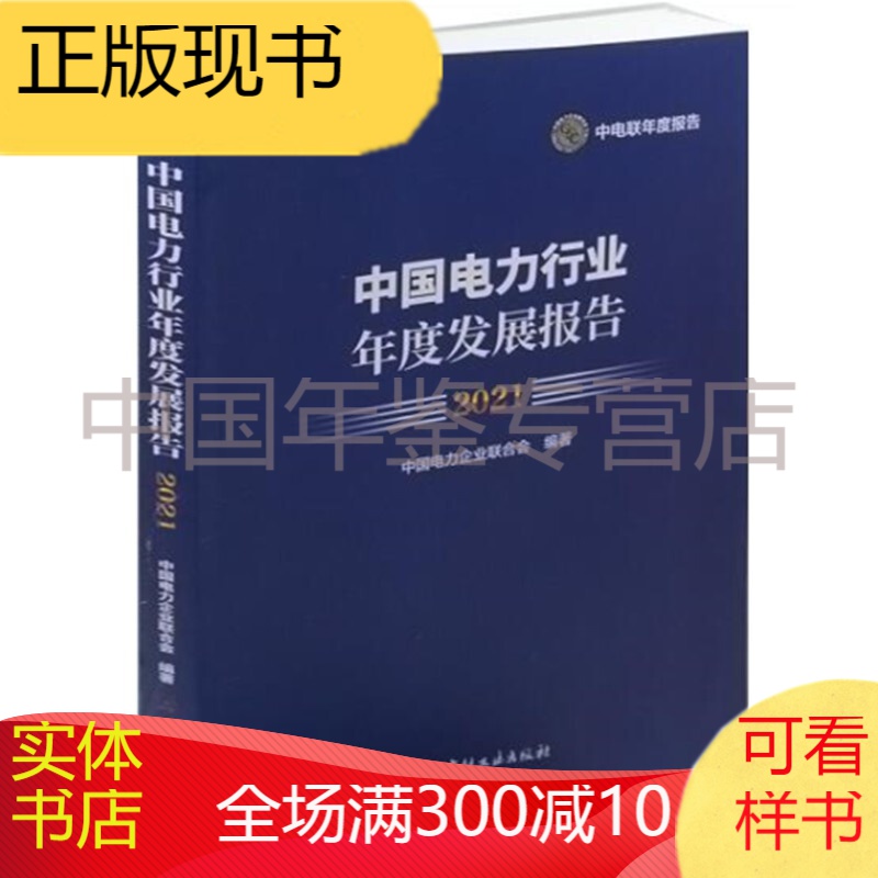 2022中国电力行业年度发展报告（ 中文） 中国电力行业年度发展报告2021版