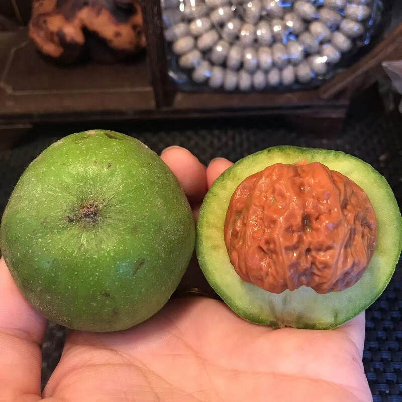 老农哥【小众】赌青皮狮子头精品收藏文玩核桃原果绿果带皮自开文玩