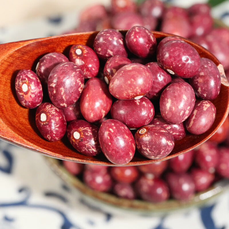 蕴召云南金丝豆500g 农家自种红花豆 孔雀豆 芙蓉豆雀蛋豆芸豆红饭豆