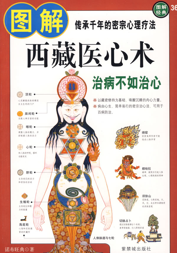 图解西藏医心术 诺布旺典 著【正版书】