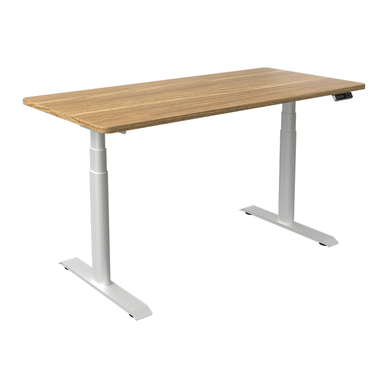 乐歌电动升降桌站立式电脑桌书桌书法桌简约家用写字桌青春派E2浅灰木纹色1.2米套装
