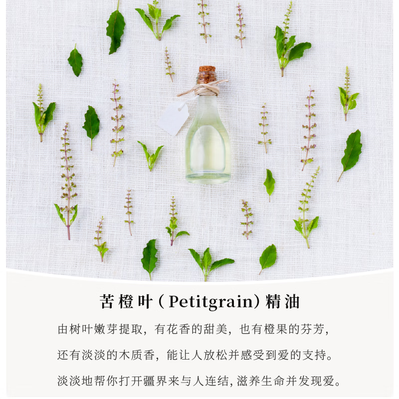 沃夫伍德（VOFUWOOD）洗发水沐浴露套装 水疗民宿酒店样板房间家用洗护液体洗剂二合一 500ml/纯净啫喱 沐浴露 (一瓶)