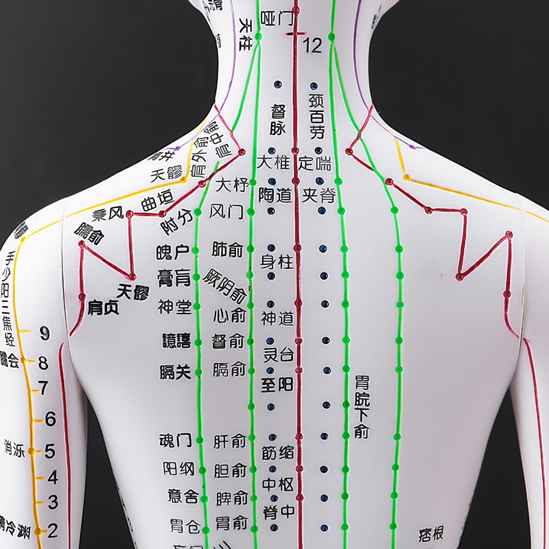 经络穴位图十二可扎针练习教学小铜人 铜色硬质款【52cm男模】手臂可