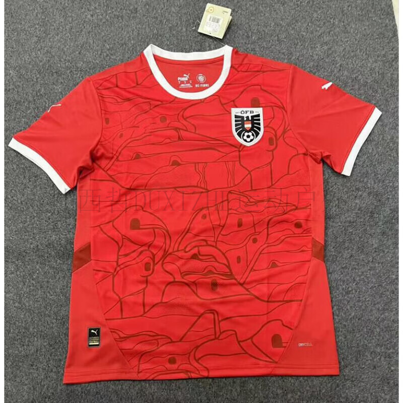 杜西哲(duxizhe)2024欧洲杯奥地利囯家队球衣主客场短袖足球服第二