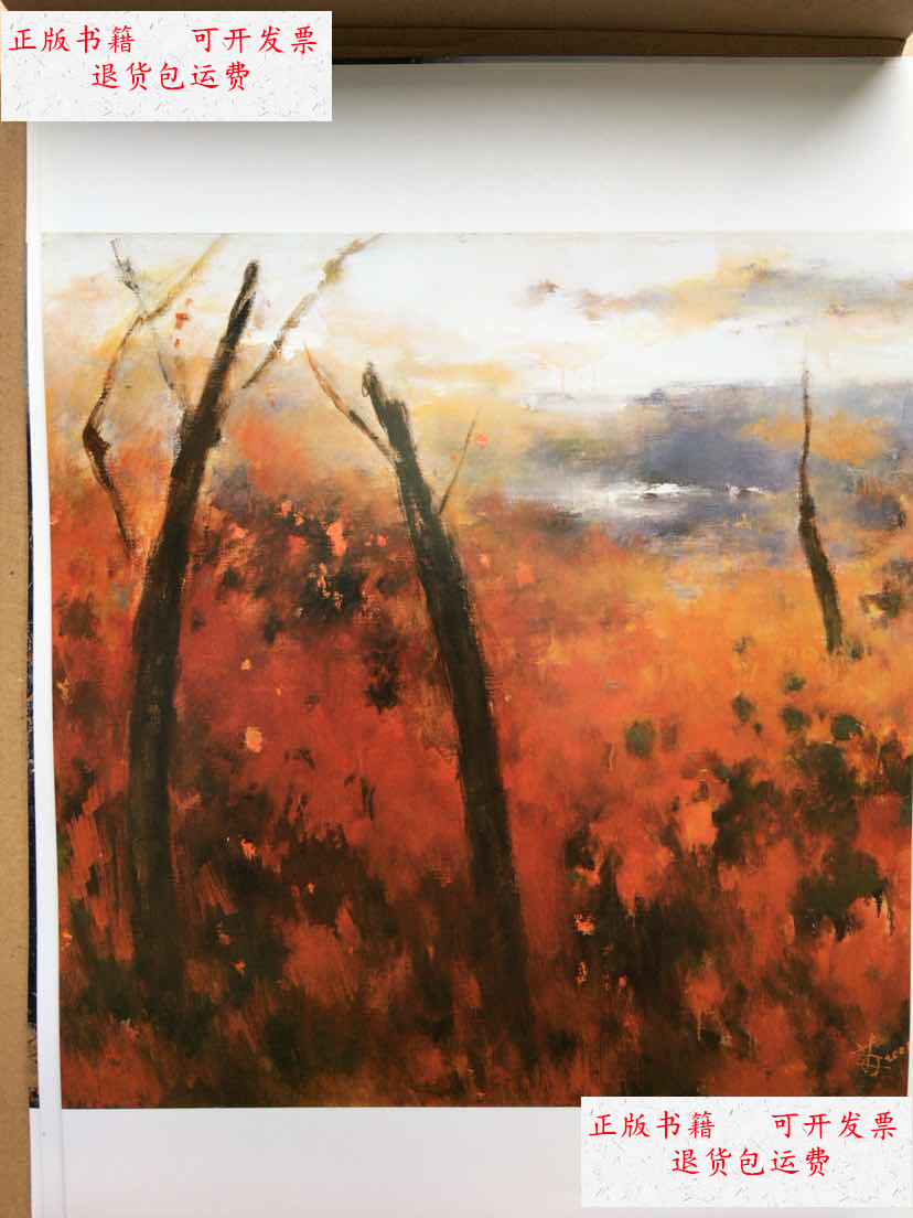 【二手9成新】缤纷与空灵-苏天赐油画作品选(8开活页,全套48张,收录