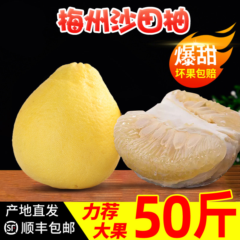 骄瑰 【顺丰速运】正宗广东梅州沙田柚纯甜柚子50斤当季新鲜水果 40斤