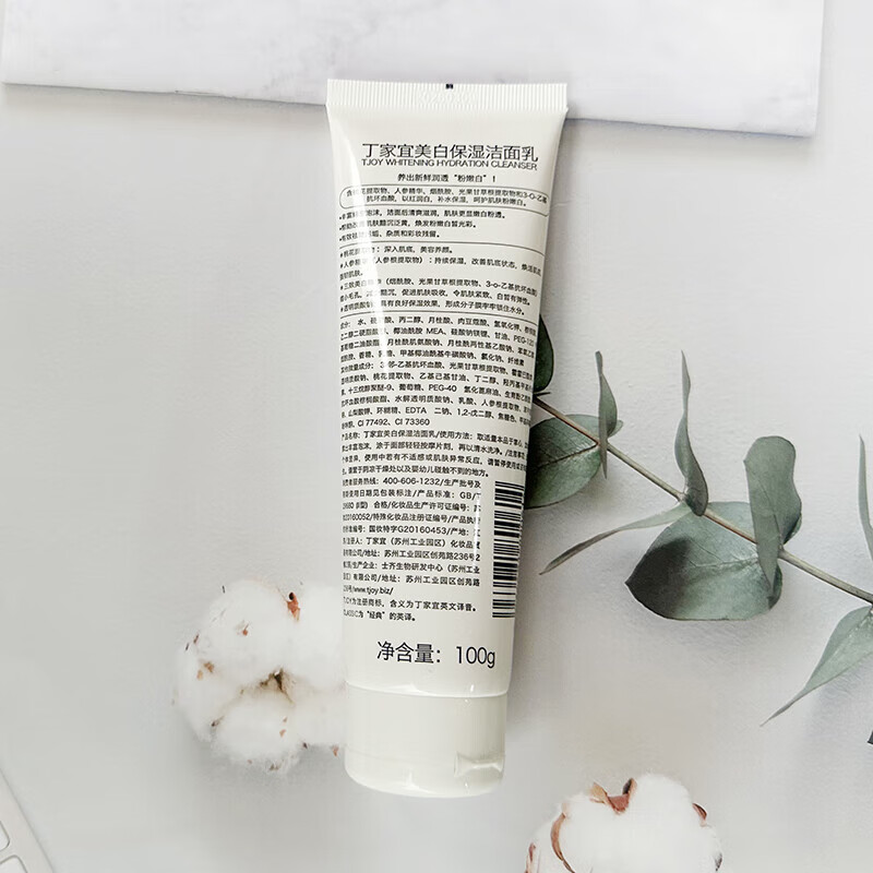 丁家宜(TJOY)美白保湿泡沫洁面乳女深层洁面补水淡斑去黄滋润护肤洗面奶 丁家宜美白保湿洁面乳100g一支