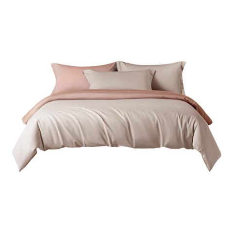 ZiiUޱֵ 60֧ȫ˫˱ 220x240cmɳ+ǳ 163.2Ԫ()