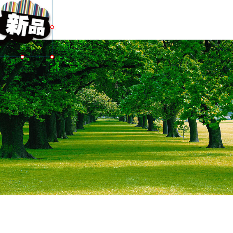 树林风景画绿树大树客厅卧室书房墙贴画绿色护眼植物装饰壁画自粘 d37