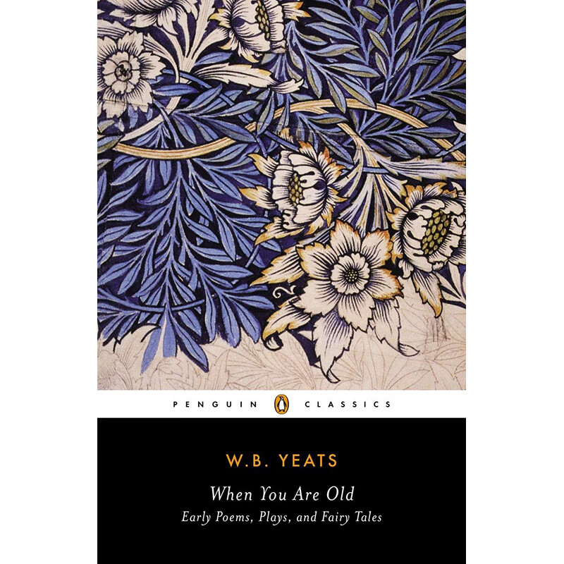 叶芝:当你老了(企鹅经典)英文原版 when you are old william yeats