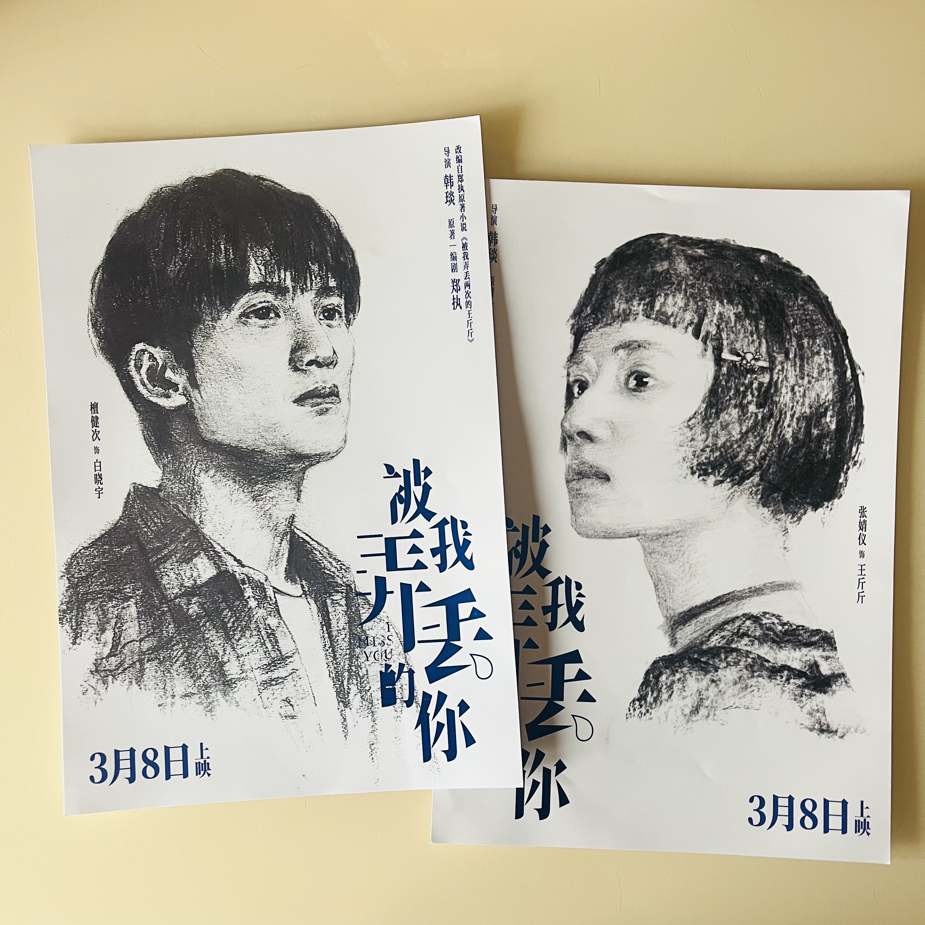 流彗被我弄丢的你海报电影《被我弄丢的你》官方a3烫金素描海报檀健次