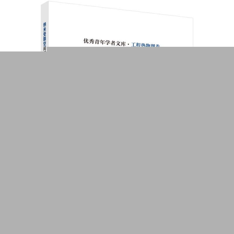 纳米受限空间固液静电吸附原理及储能应用
