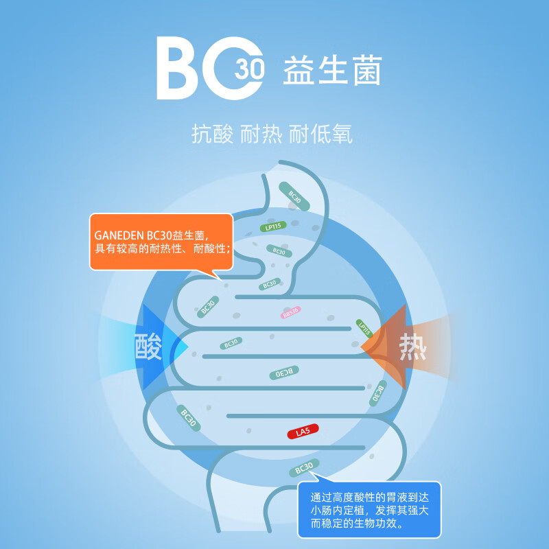 红狗(RedDog)【医院推荐】BC30益生菌猫咪狗狗宠物调理肠胃呕吐软便拉稀 【9大菌群】BC30益生菌粉 25g*2盒 (10包)