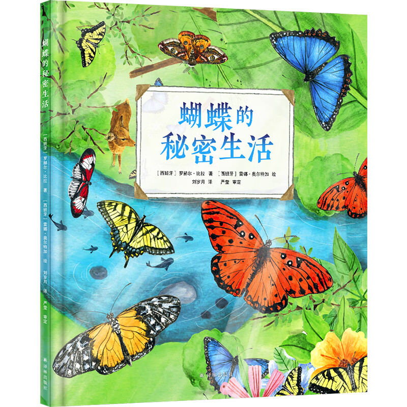 蝴蝶的秘密生活 